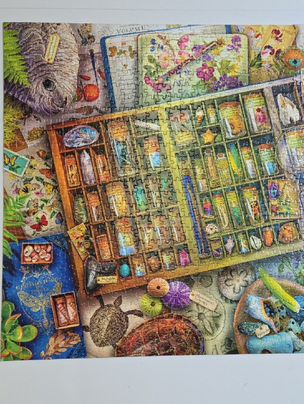 Aimee Stewart Puzzle Buffalo The Naturalist's Collection Jigsaw Puzzle 1000 Pcs - Picture 15 of 16